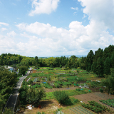 吉野屋遗址