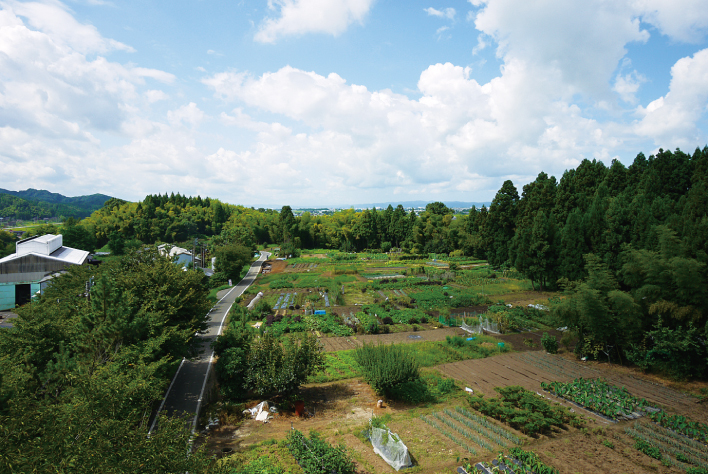 吉野屋遗址