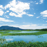 Sakata Lagoon