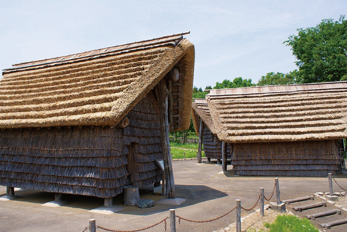 Fujihashi Site and Artifacts