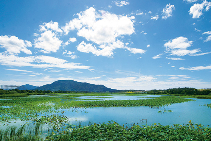 Sakata Lagoon