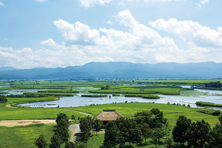 Fukushima Lagoon