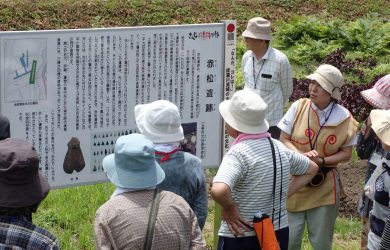 赤松遺跡を訪れる人々