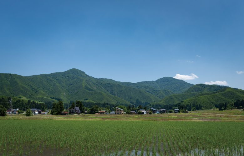 権現堂山(上権現・下権現)